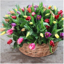 101 тюльпан в корзине